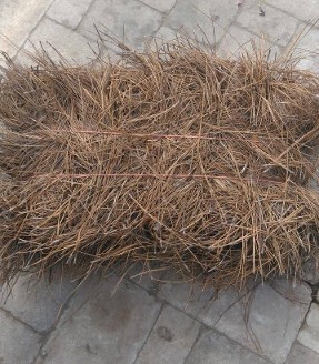 Pine straw Bales